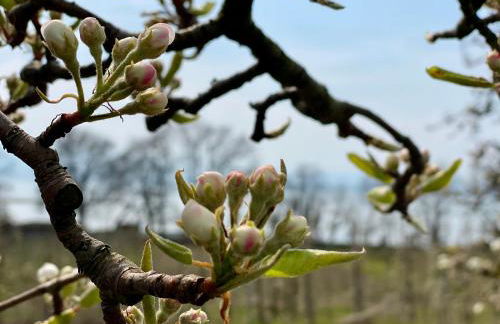 BLICKinsGRUEN - Foto 42