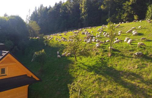 Domek pod Groniem - Photo 15