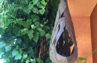 Casa do Sobro - Foto 30