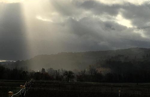 Le Gualchiere - Photo 45