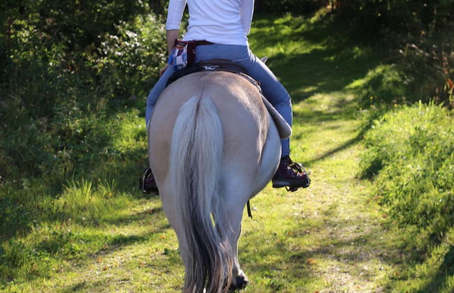 Grönelid Gård - Foto 19