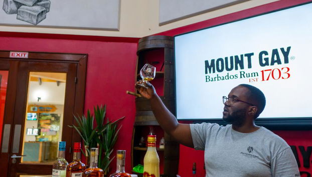 Harrison´s Cave Adventure Pass - Photo 3