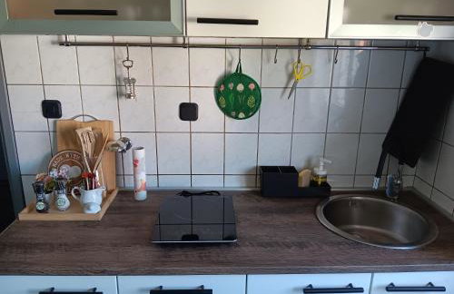 Apartman Dunav - Foto 30