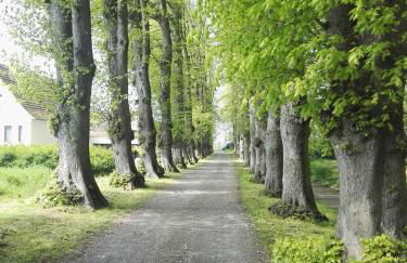 Ferienwohnung Haus Sommerwind - Foto 34