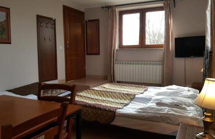 Willa Dzika Róża - Foto 28