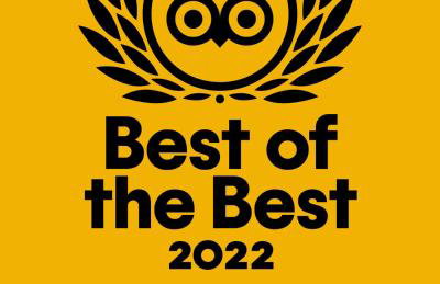 Villa Olga Lounge Hotel - Foto 6