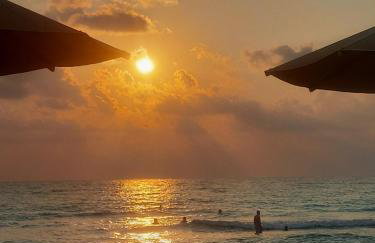 Το Σπίτι της Ελιάς - Foto 31