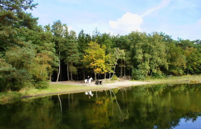 Majestic Apartment in Westerstede - Foto 13