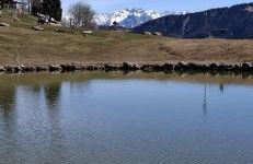 Wuthering Heights - Foto 68