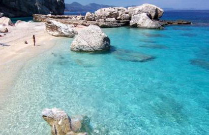 Purple Flower Suite Apartment - Foto 1