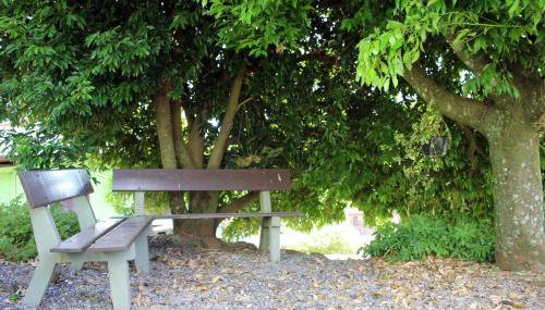 Recanto Bauer - Foto 4