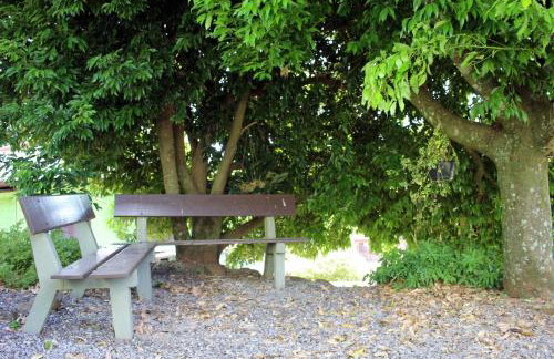 Recanto Bauer - Foto 4