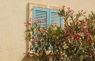 Blue Door Mallorca - Foto 8
