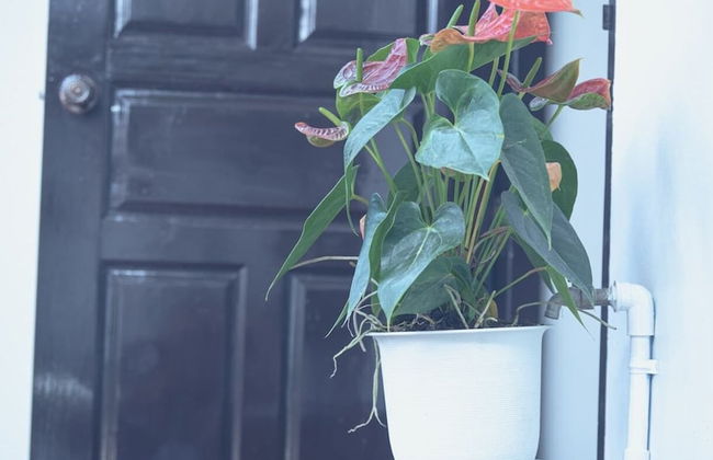 Baan Warintorn Court Nongkhai - Foto 39