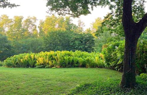 Cozy Chalet in Castell'Arquato 90 m² with Private Pool - Foto 35