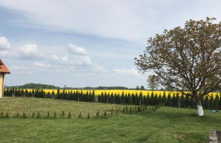 Charming Countryside Apartments - Photo 52