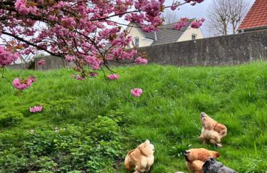 Lindas Diekblick, ! 2 Schlafzimmer!EG mit Terrasse - Foto 13