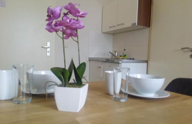 Apartmentpension am Stadtschloss - Foto 16