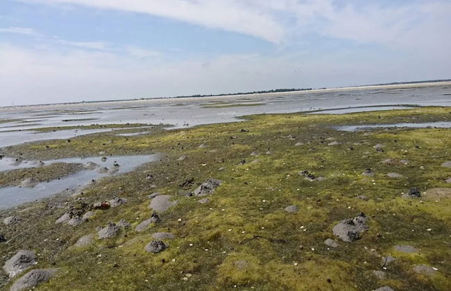 6 Person Holiday Home in Hals - Foto 52