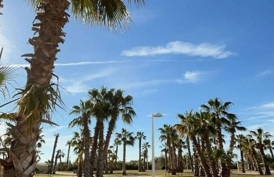 World Magic Vacaciones 5 - Foto 24