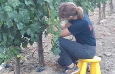 Cortijo Don Simón - Foto 41