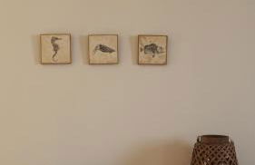 Can Nicasi - Foto 15