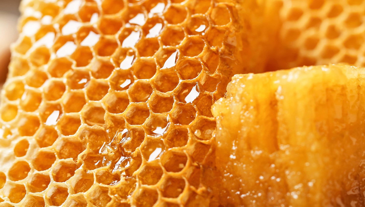 Excursion à Goñicutac, Astobamba et Huarautambo - Photo 1, Excursion à Goñicutac, Astobamba et Huarautambo