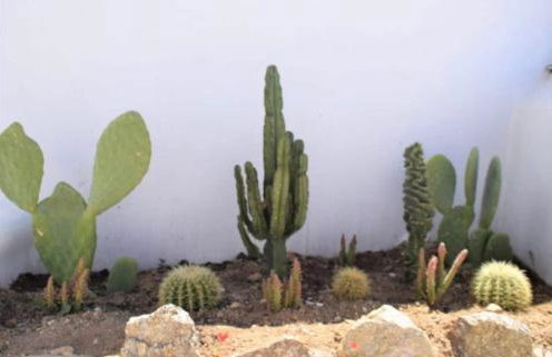 House of Nikol - Cycladic Sensation - Foto 17