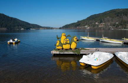 appartement chez Chantal RDC 60m2 GERARDMER - Photo 17