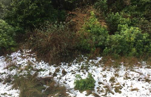 The Guest Wing - Foto 29