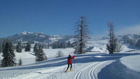 Col de la Faucille Apartment - Foto 3