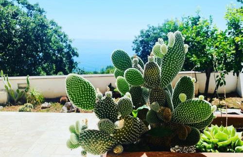 CASA AL MARE RIO b&n - Foto 28