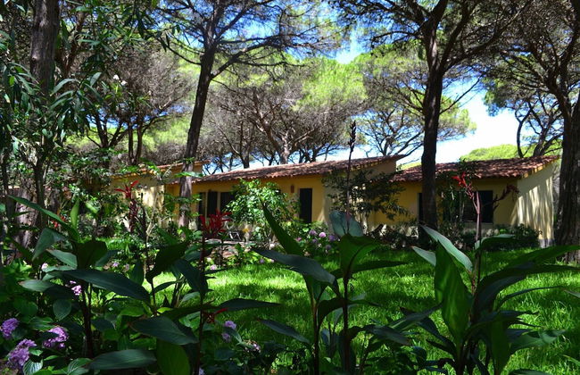 1 Ala Birdi Cottage Trilocale - Foto 1