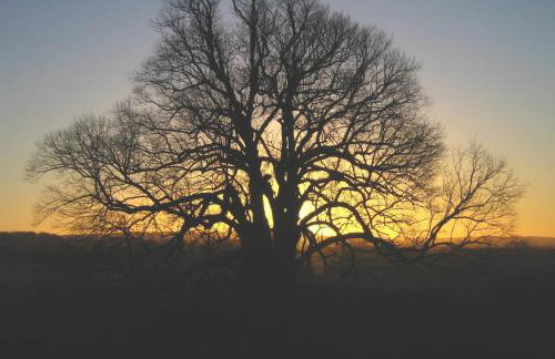Whitehall Pele Tower - Foto 32