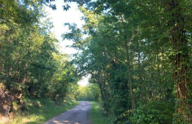 La casina del prete - Foto 49