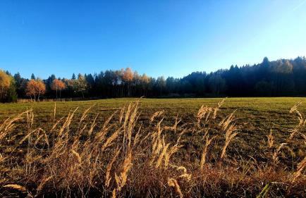 Apartman Skender 3* Ravna Gora - Foto 25