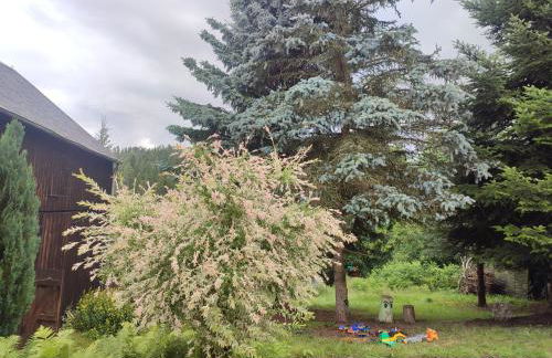 Haus "Grimberg" FeWo 1-stock oder FeWo 2-stock & Zusätzliches Zimmer - Photo 54