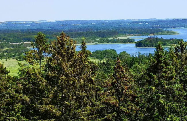 10 Person Holiday Home in Ry - Photo 56