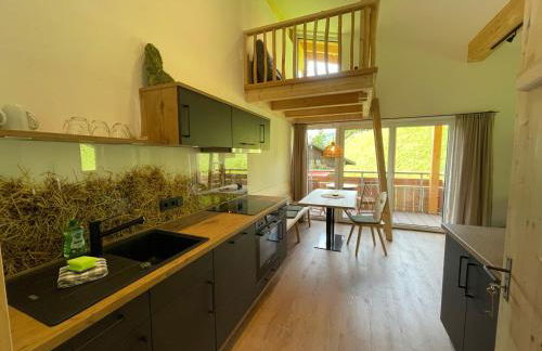 Stadl Lodge Hinterstein - Skipass im Winter und Bergbahnen im Sommer inklusive - Foto 33