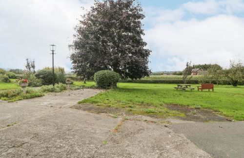 The Pheasant One - Foto 18