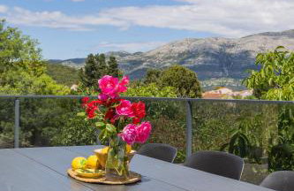 Modern Urban Oasis - Korčula - Photo 53