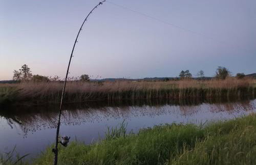 Wörnitz Haus mit 3 Schlafzimmern - Foto 15