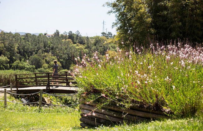 Herdade do Freixial - Foto 59