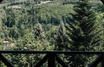 Brenna Leśnica - Foto 39