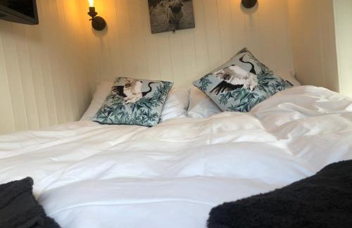 Cosy Shepherds Hut, heating, Hot Tub, WiFi and magnificent view - Foto 56