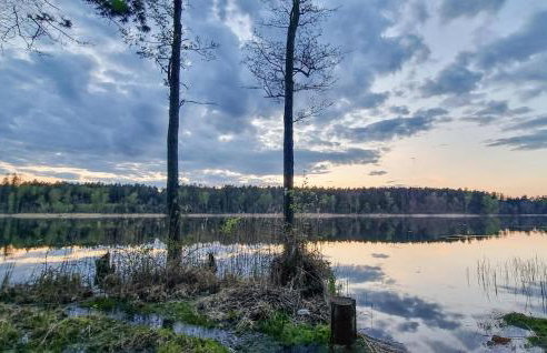 2 Bedroom Cozy Home In Rekowo - Foto 13