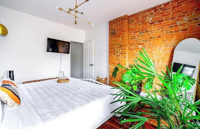 The Urbn Jungle - Foto 13