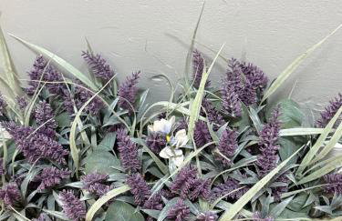 Eagle Pamir Guest House - Foto 25