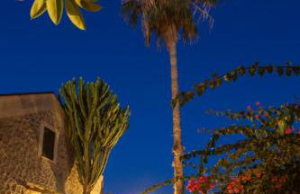 Rosmarino Park - Foto 18