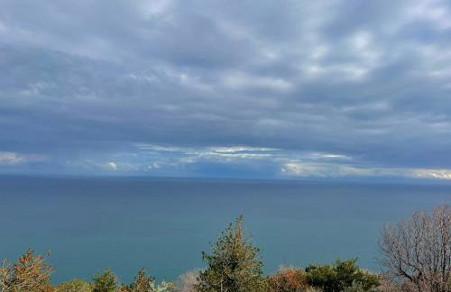 To giataki tou pappou - Foto 43